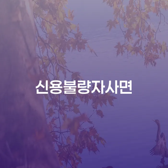 카드 연체 카드빚 연체 적정한